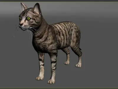 Cat-- tabby cat with eyes 3D model