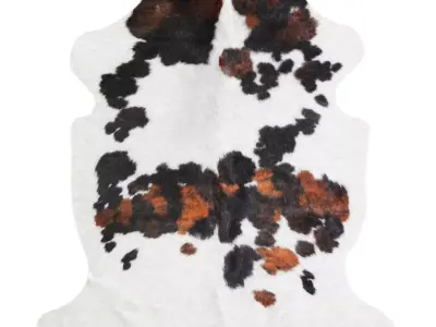 Tricolor Cowhide Rug A26824 3D model