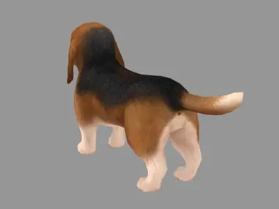Cartoon pet puppy - Basset - baby dog Low-poly 3D model