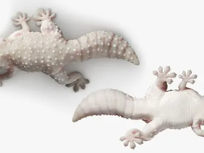 Gecko Reptile 3DS Max 3D model