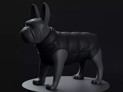 Mondog pet outfitters podo dog couture with panties 3D model