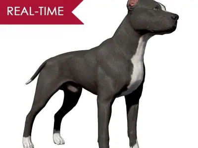 Pitbull Real-Time Low-poly 3D model