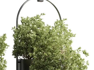 indoor outdoor Indoor plants hanging pot metal box vase 3D model