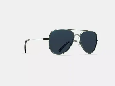 Raider Sunglasses in Polished Silver Low-poly 3D model