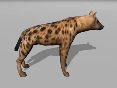 hyena Low-poly 3D model purchase