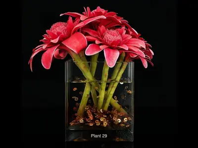 Plant collection 4 flowers in glass vase