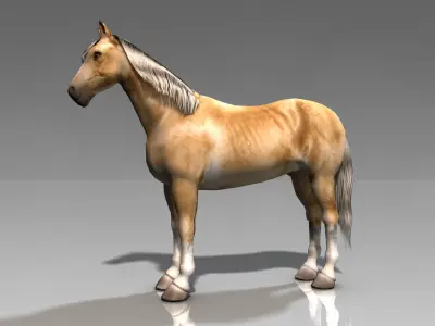 Palomino Horse Low-poly 3D model