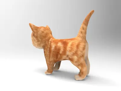 Red Cute cartoon Cat Rigged Low-poly 3D model