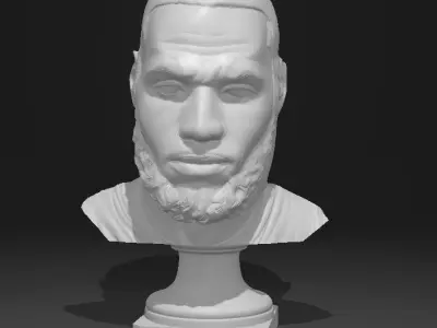 Lebron James Basketball Portrait Head 3D print model