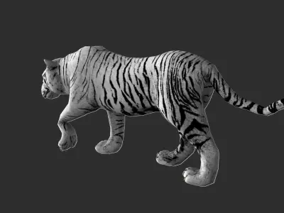 White Tiger with animation Low-poly 3D model