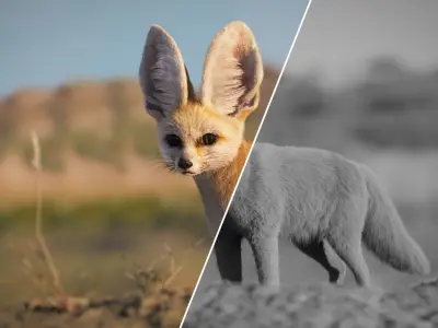 Fennec  UE Character Asset 3D model