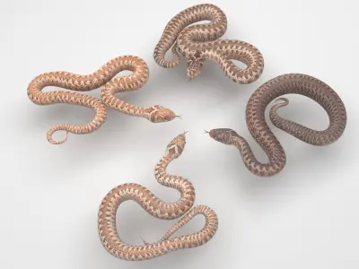 Snakes Set 3D model
