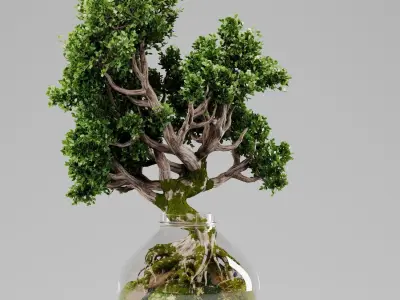 Bonsai Tree Indoor Plant 02 3D model