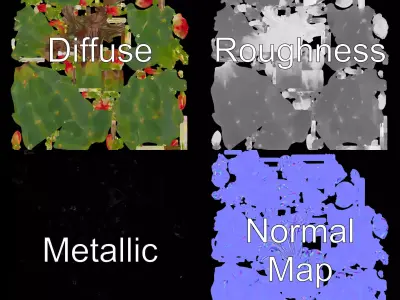 Vibrant Cactus Flower model pack Low-poly 3D model