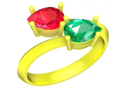 Luxury Toi et Moi Two Stone Ring for Women  5087 3D print model