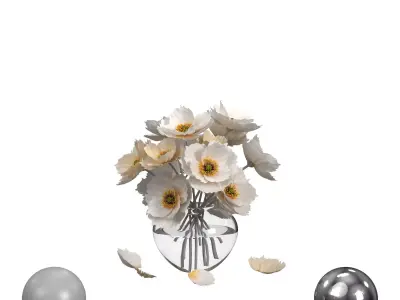 Flower White Poppies 3D model