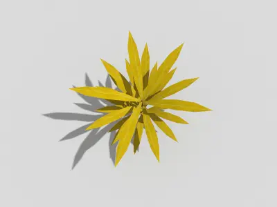 Low poly Plant Low-poly 3D model