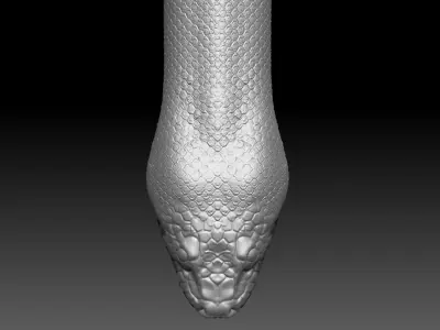 Anaconda ZBrush Model 3D model