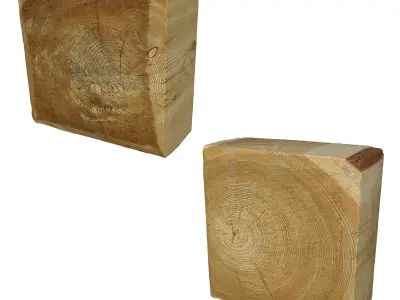 Ultra realistic Tree Stump 3D model