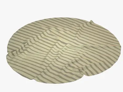 Anderson Rug 3D model