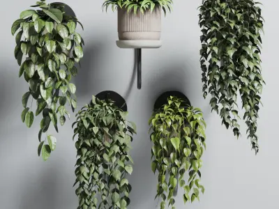 wall plant - collection Indoor plant 180 concrete wall vase 3D model