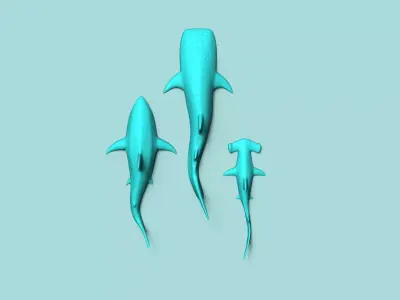 03 Sharks Wall Decor Collection - Design Decoration