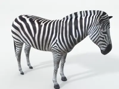 Zebra Low-poly 3D model get