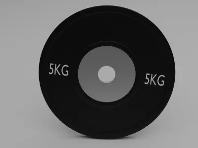 Simple Gym Weight Free 3D model