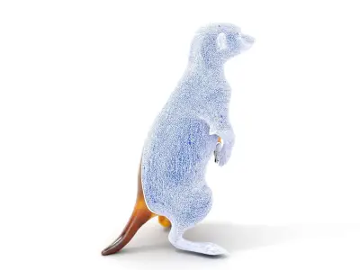 Meerkat Model Pack for CG Rendering and Animation Low-poly 3D model