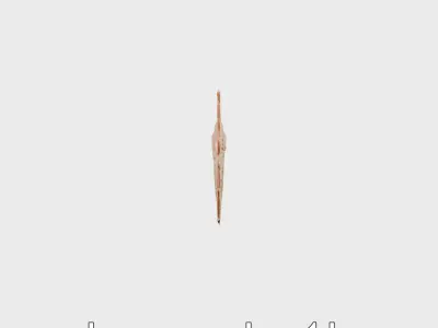 Phoenix Feathered Wings with Fiery Gradient Low-poly 3D model