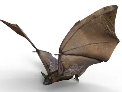 Bat Night 3D model