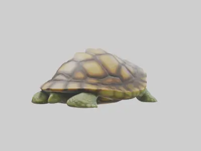 Sleeping Turtle Model Low-poly 3D model