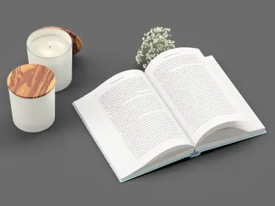 Decor flower Gypsophila books candle Set 46 3D model