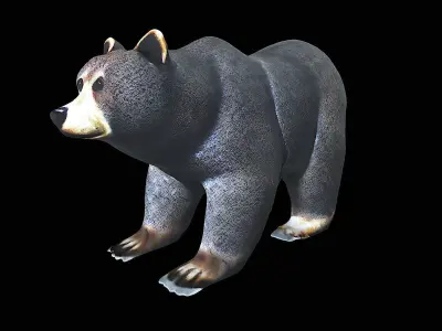 Cartoon Bear 3D model