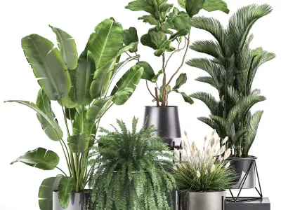 Houseplants in a rust flowerpot for the interior 996 3D model