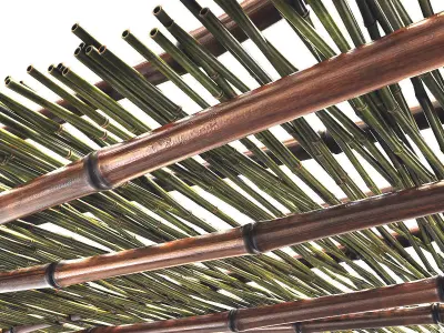Branch bamboo long low n3 3D model