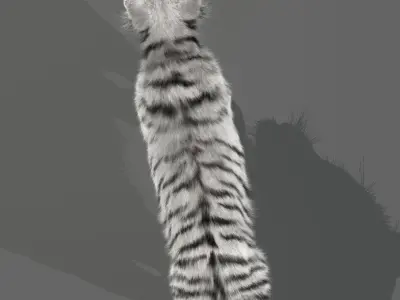 White Tiger v2 Low-poly 3D model