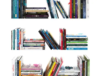 110 different books 1 3D model