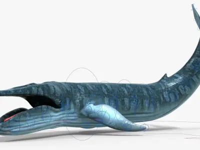 Realistic Blue Whale Rigged Low-poly 3D model