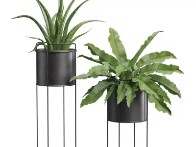 Plants Dark Metal Stand 3D model