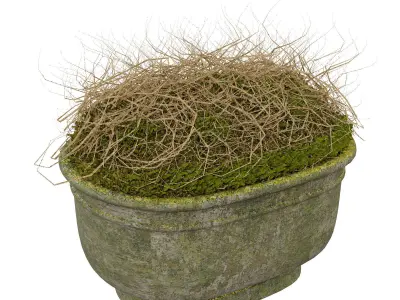 Street Vases 3D model