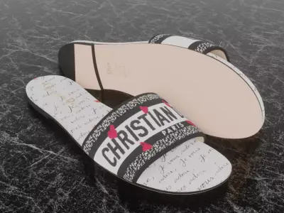 CHRISTIAN DIOR DWAY SLIDE 3D SLIPPER 3D model