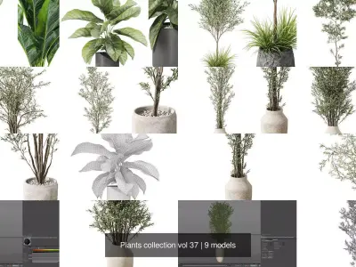 Plants collection vol 37