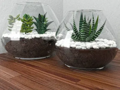 Succulents with stones in glass bowl 3D model