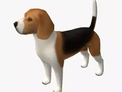 Beagle dog Low-poly 3D model