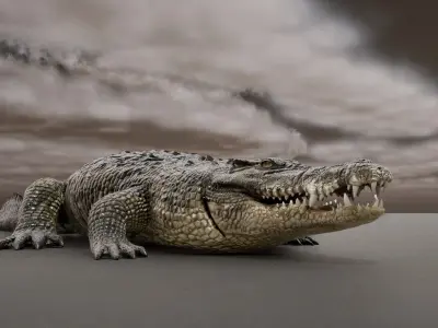 Crocodile Animated UNREAL project  Maya base rig 3D model