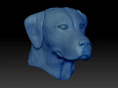 Labrador Male Head Portrait  STL-3D Printing Model High Polygon 3D print model