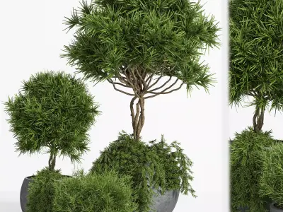 Outdoor Plants tree 04 3D model