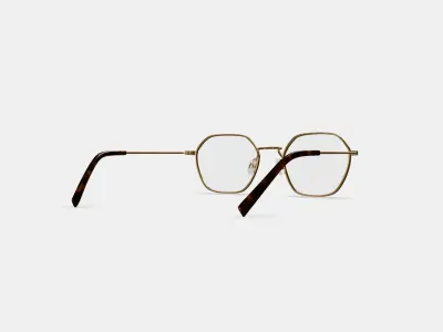 Keiko Eyeglasses in Polished Gold 3D model