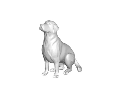 Labrador Retriever 3D model purchase